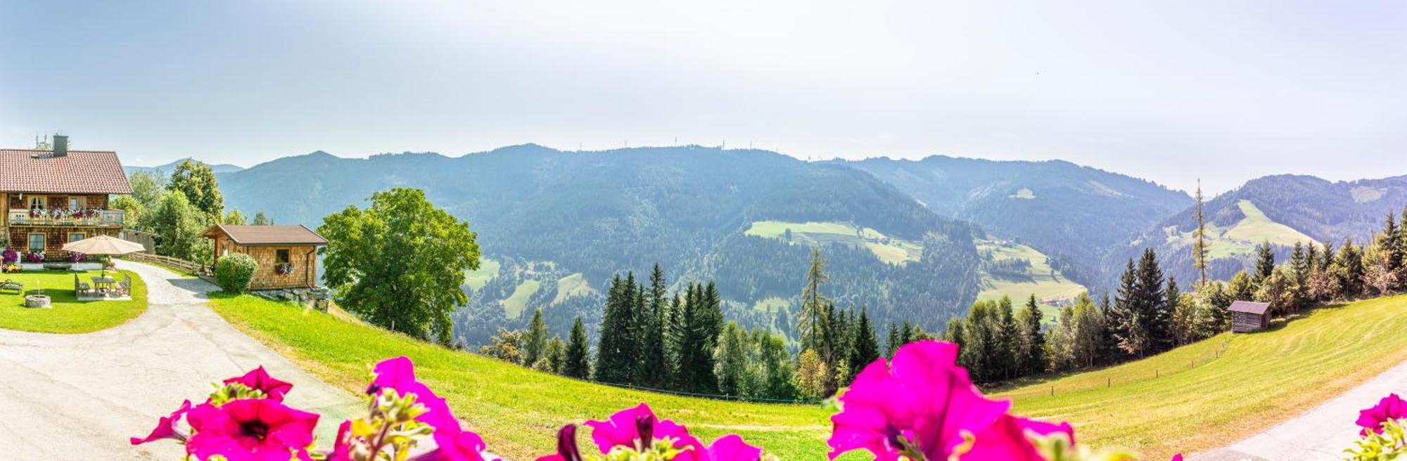 Landhaus Hochkoenig Mühlbach am Hochkönig 외부 사진